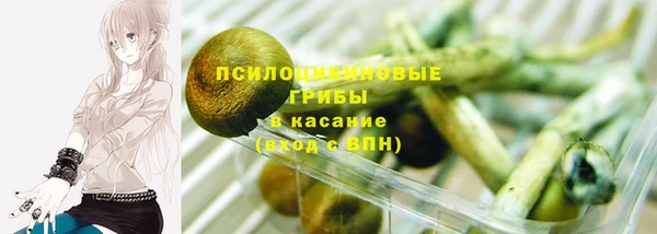стаф Алексин