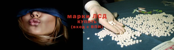 стаф Алексин