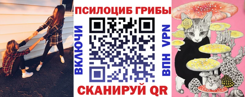 Галлюциногенные грибы Magic Shrooms  ссылка на мегу зеркало  Тында 